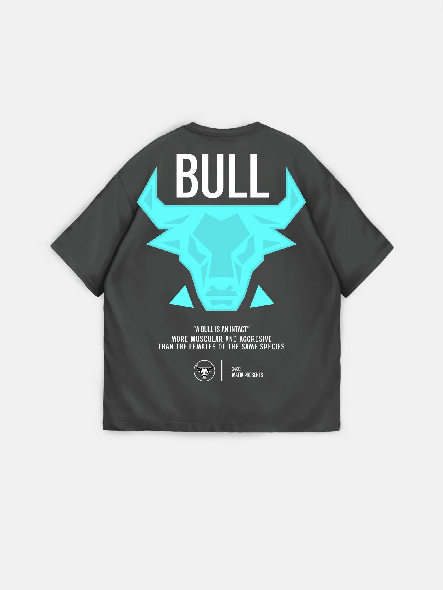 Oversize Bull T-shirt - Anthracite