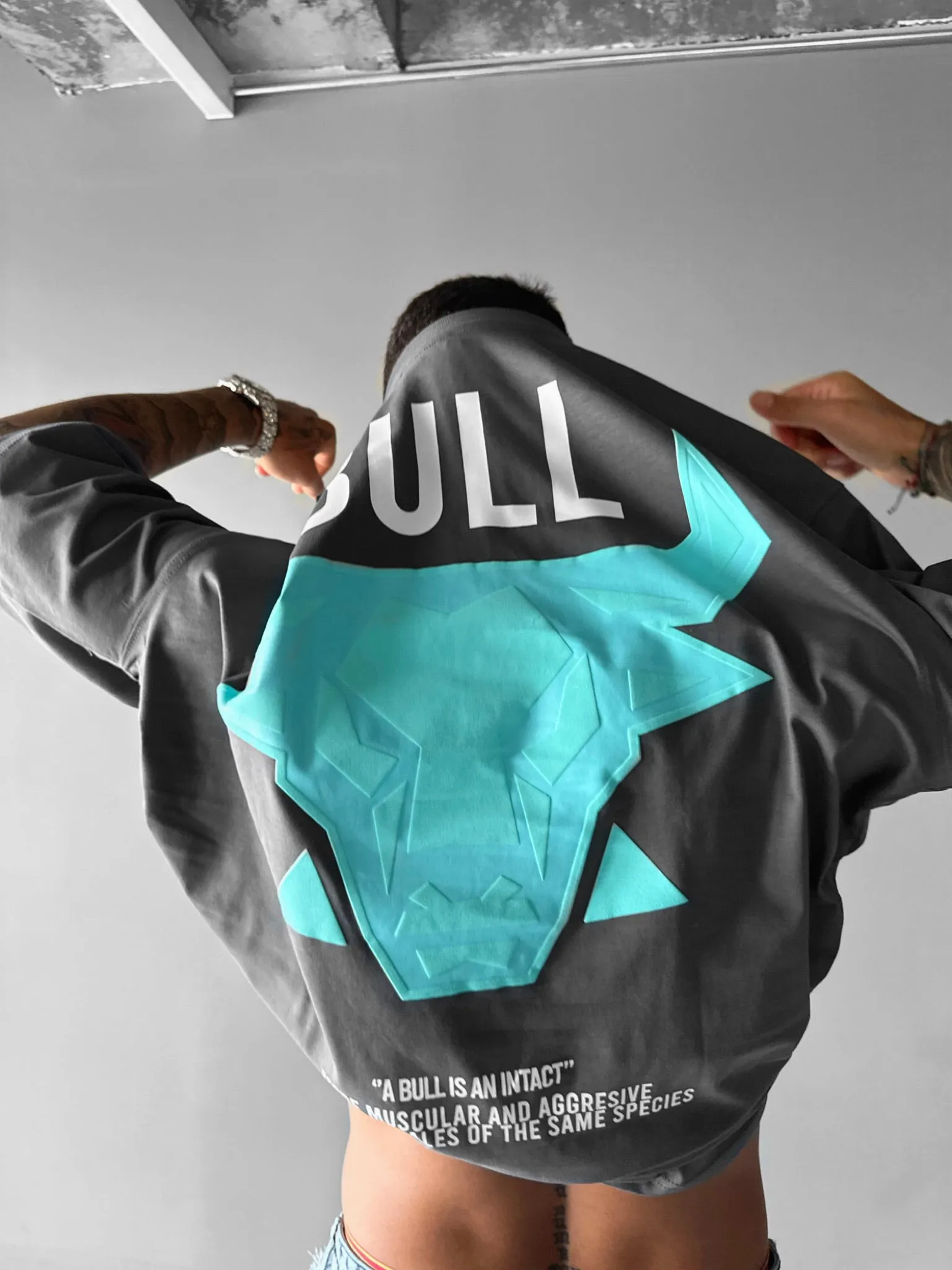Oversize Bull T-shirt - Anthracite