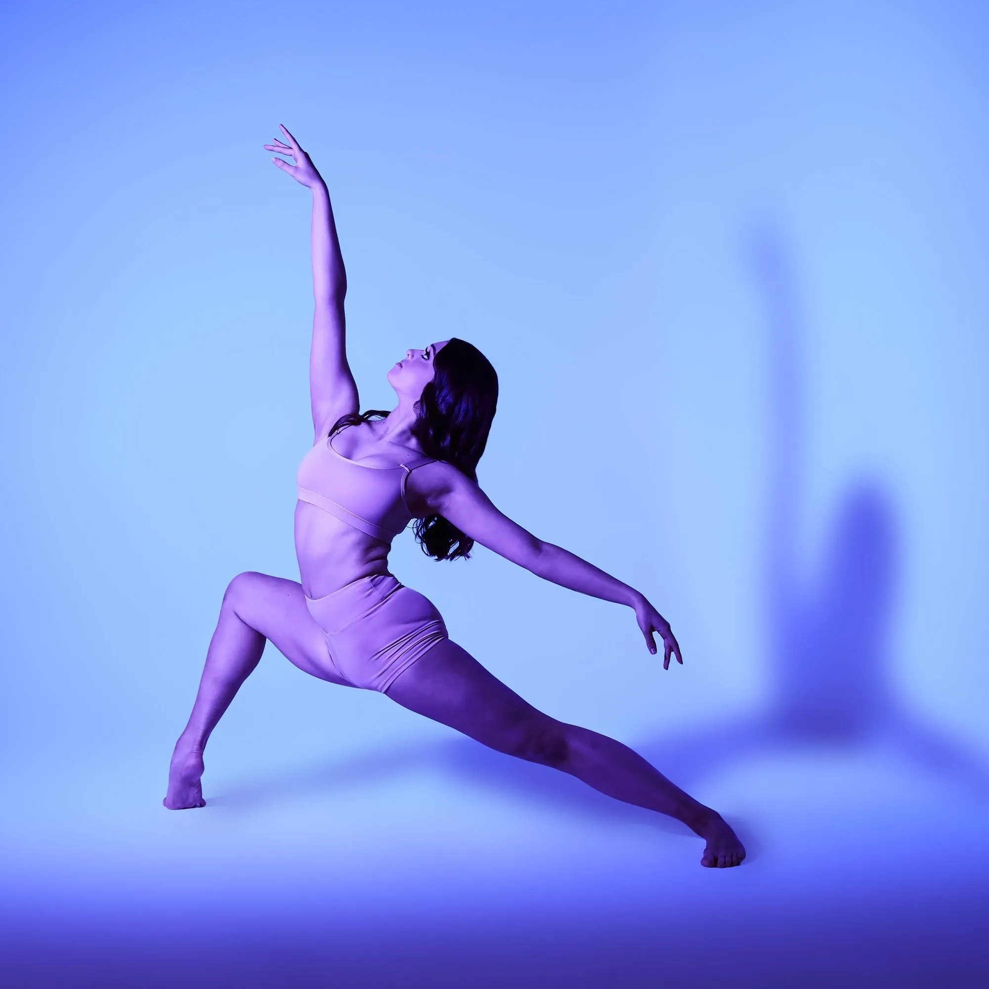 Studio 7 Performance Crop Cpct01/Apct01